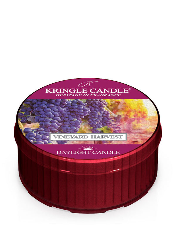 Vineyard Harvest | DayLight - Kringle Candle Israel