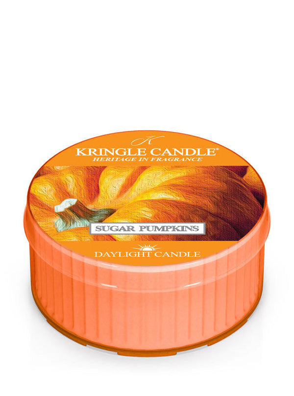 Sugar Pumpkins | DayLight - Kringle Candle Israel